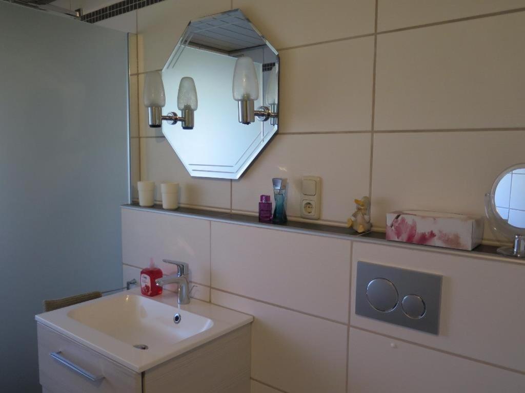 Ferienwohnung Zuckerberg ザールブルク エクステリア 写真