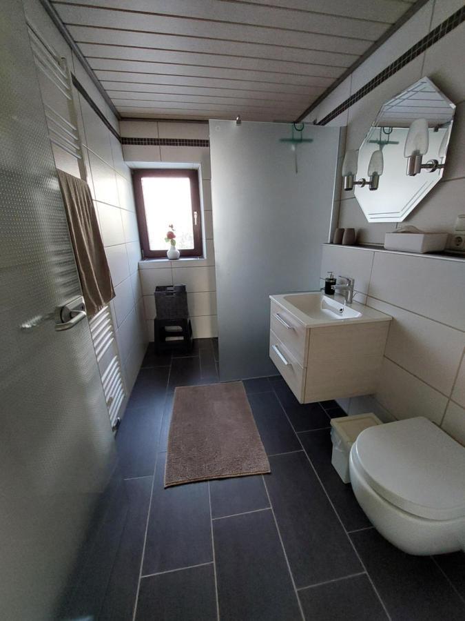 Ferienwohnung Zuckerberg ザールブルク エクステリア 写真