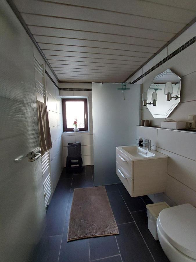 Ferienwohnung Zuckerberg ザールブルク エクステリア 写真